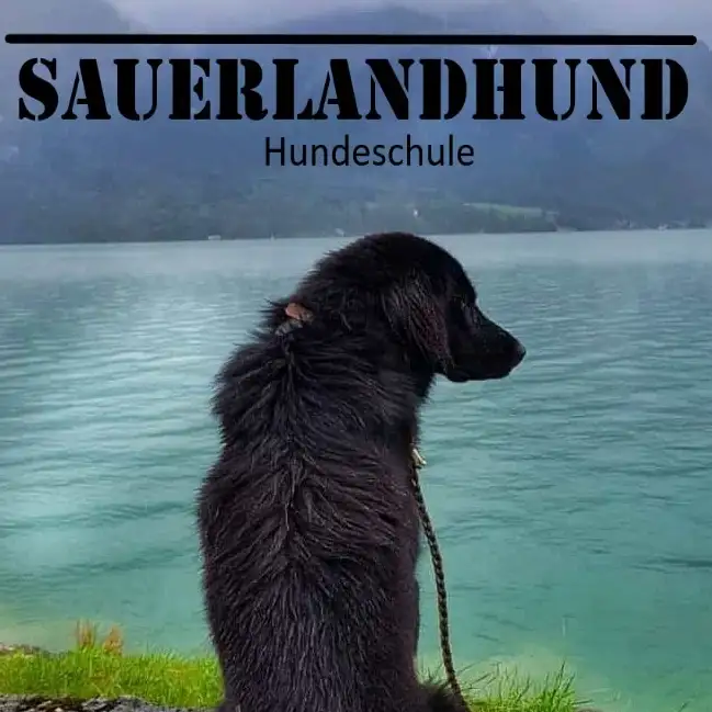 Logo von der Organisation SauerlandHund
